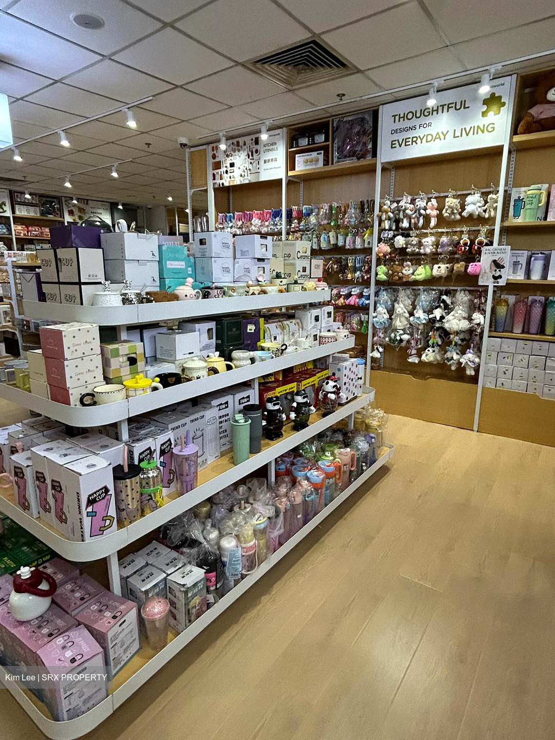 Lucky Plaza (D9), Retail #541481581